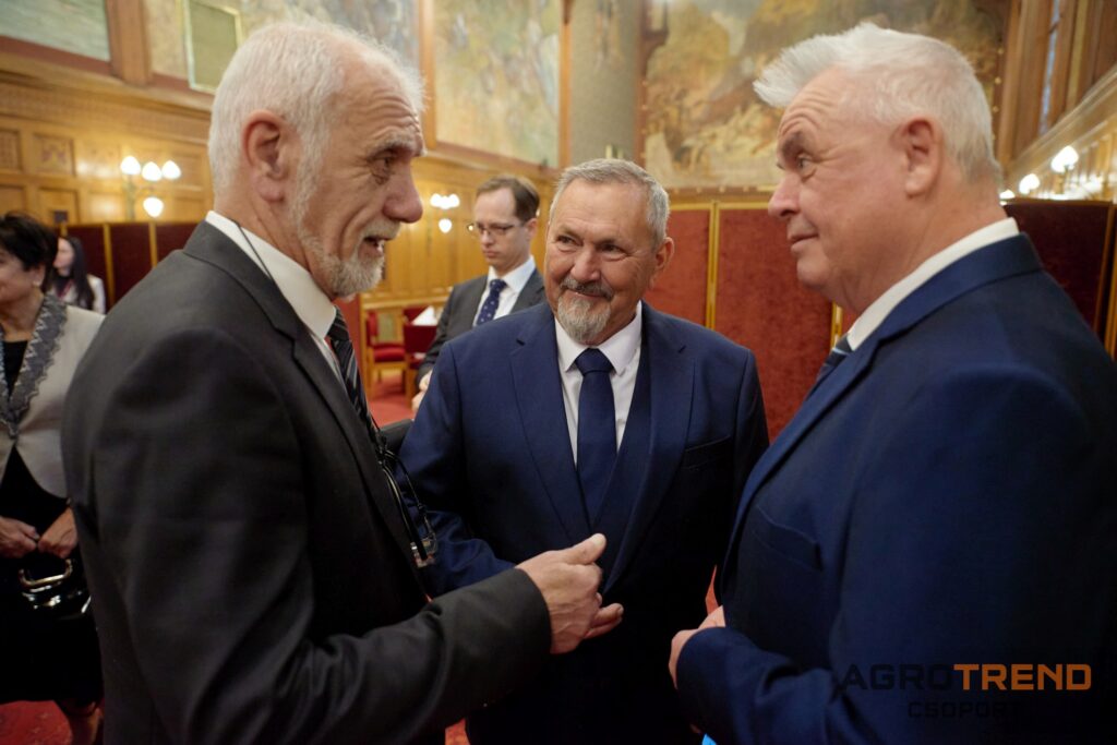 ©Jaksity Iván Ivan.jaksity@gmail.com